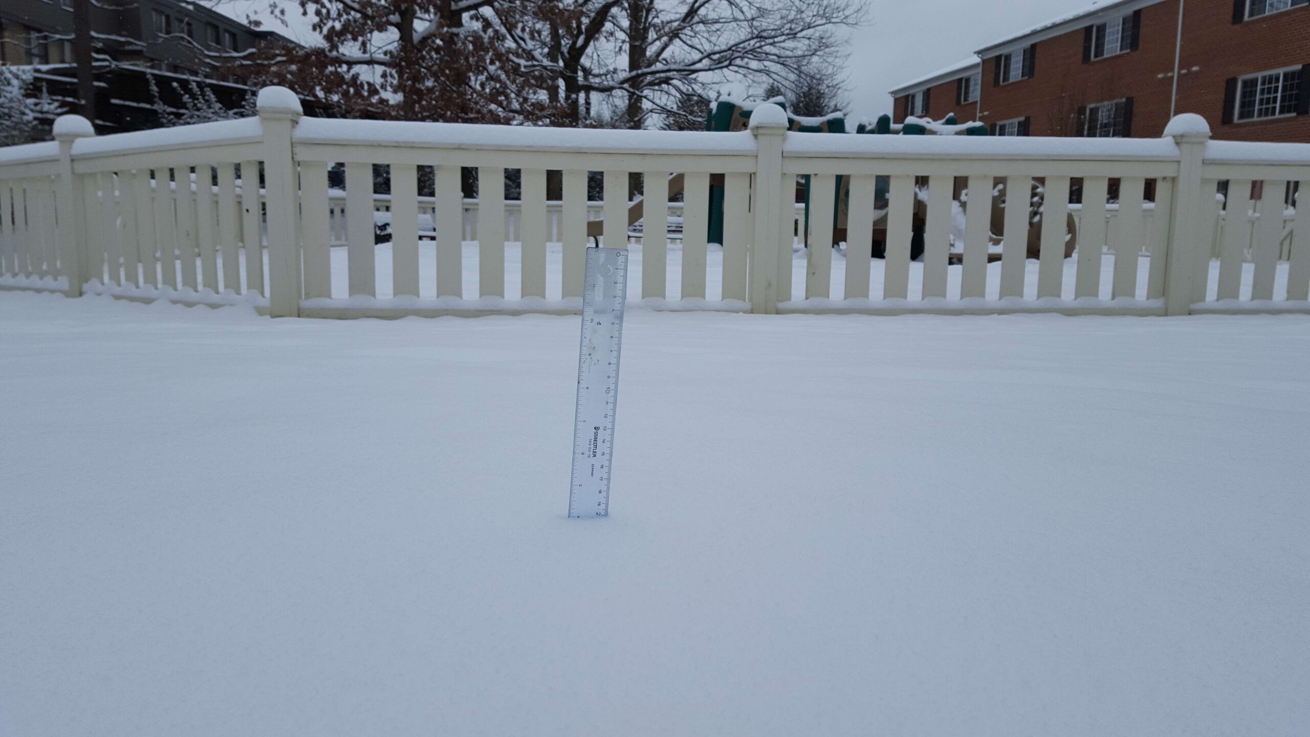President's Day 2016 snow fall in Alexandria, Va.