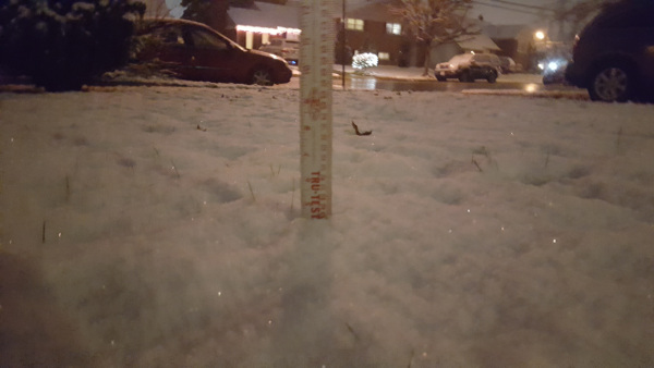 4+ inches of snow fell on Alexandria's West End