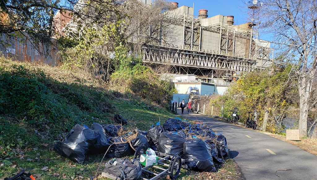 Friends of the Mount Vernon Trail Kudzu clean-up before and after