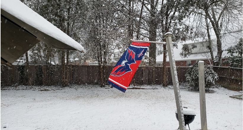 Alexandria, Va. January 31, 2021 snow accumulation