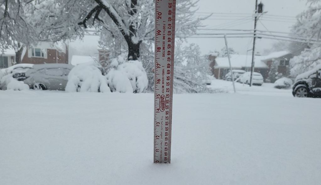 The first snowfall of 2022 blanketed the Washington, D.C. area on January 3 with 10 inches of wet snow accumulatation in Alexandria, Va.'s West End by 12 p.m.