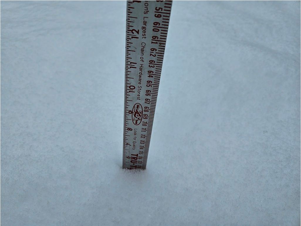 January 18, 2024 Alexandria, Va. & Eastern Market, D.C. snowfall measurements