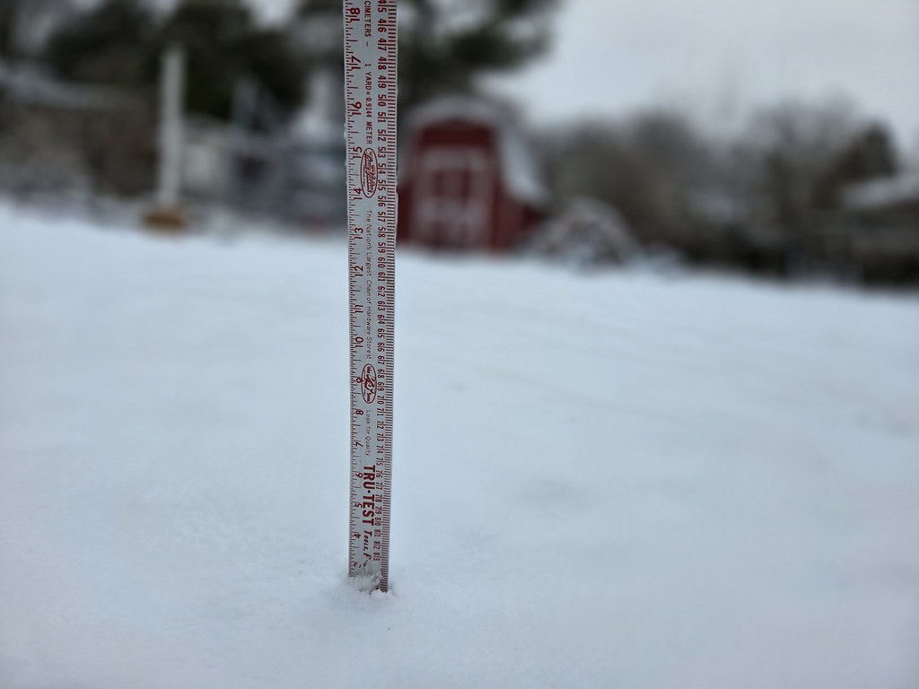 February 23, 2026 snow fall total for Alexandria, Va.